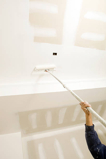 Best Environmental Consulting for Mold Prevention  in Security Widefield, CO