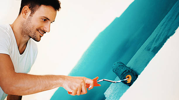 Best Mold Odor Removal Services  in Security Widefield, CO